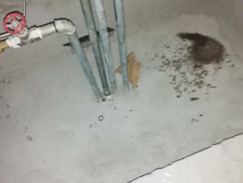 南和卫生间测漏水价格明细