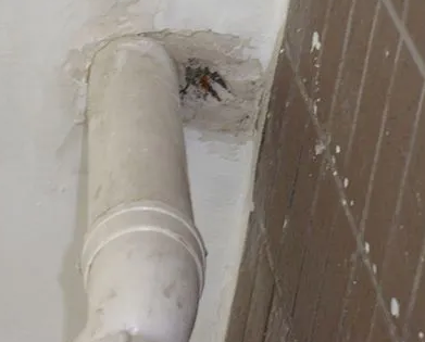 南和漏水检测哪家好